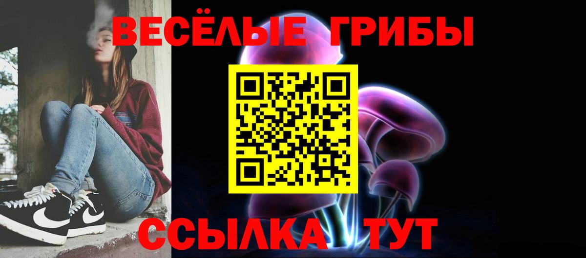 Псилоцибиновые грибы Psilocybine cubensis  Вход с VPN  Псилоцибиновые грибы Psilocybe  Луховицы 